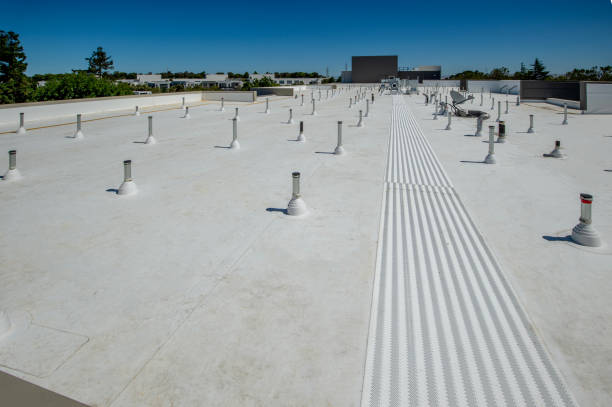 Best Roof Coating and Sealing  in Baldwin Park, CA